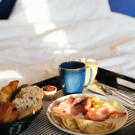 Mercure Centre Port 布雷斯特