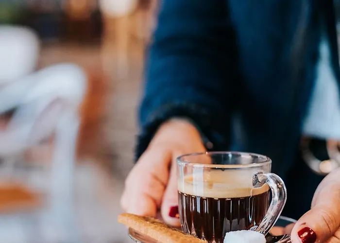 酒店 Mercure Centre Port 布雷斯特